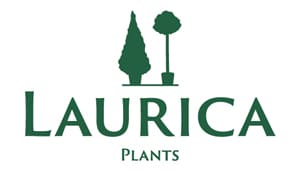 Laurica Plants logo