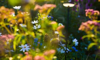 De meerwaarde van een dag- en nachttuin 10