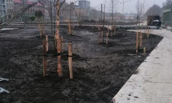 Slimme retentiekratten en substraten voor voeding beplanting 10