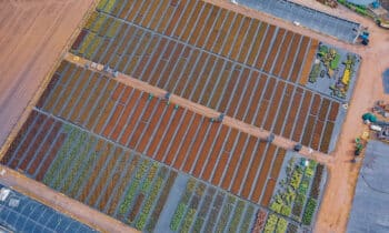 Floreren doet u met Plantura 11