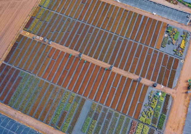 Floreren doet u met Plantura 3