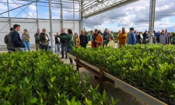 Laurier, anders bekeken 11