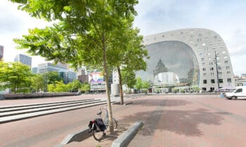 Gezonde stadsbomen dankzij gerecycleerde kunststof 10