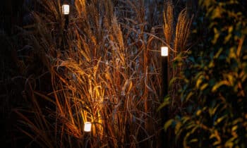 Trends in tuinverlichting 2023: uitstraling, flexibiliteit en sfeer 4