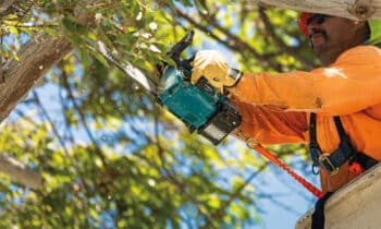 Accumachines voor tuintoepassingen ook bij professionals steeds populairder 8