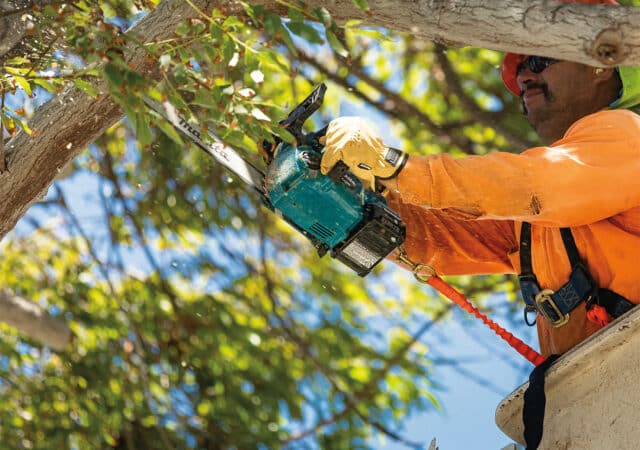 Accumachines voor tuintoepassingen ook bij professionals steeds populairder 2