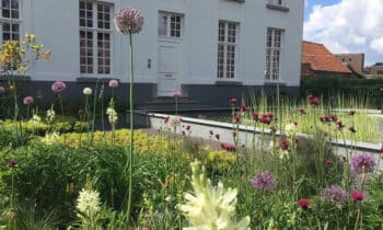 Ga tegen de natuur in, en je verliest altijd 12