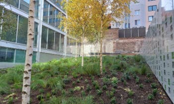 Groene oase in hartje Brussel 12