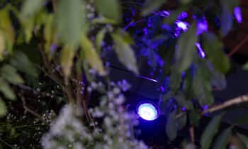 Kleur bekennen via tuinverlichting 3