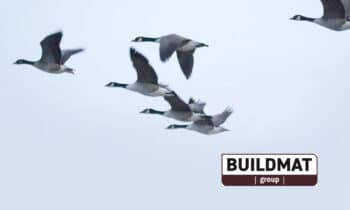 Overname Hekwerkshop.be bv door Buildmat nv. 11