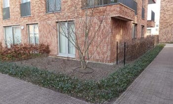 ‘Good Urban Practice’ brengt meer groen naar de steden 10