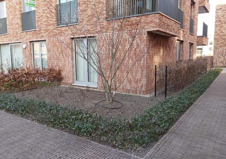 ‘Good Urban Practice’ brengt meer groen naar de steden 3