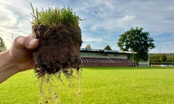 Hoogwaardige grasmengsels, ontwikkeld voor de toekomst 11