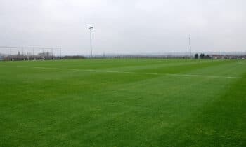 Stielkennis én bijblijven in plaats van nattevingerwerk 12