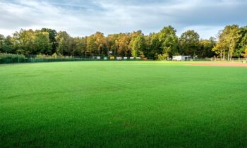 Sportveldonderhoud: geen kunde zonder kennis 11