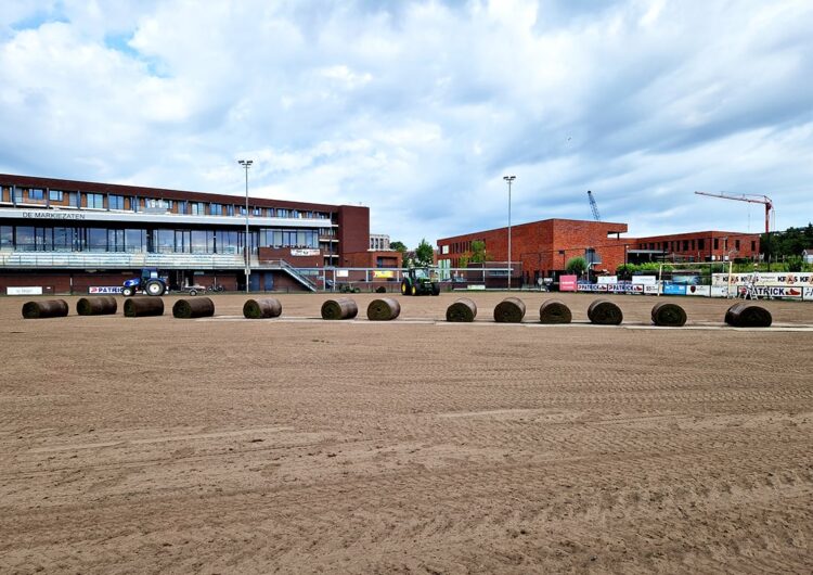 Graszoden voor een direct bespeelbaar veld 2