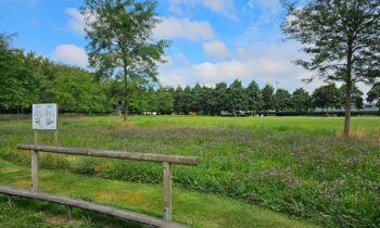 Van verzilt water tot gezonde velden 12