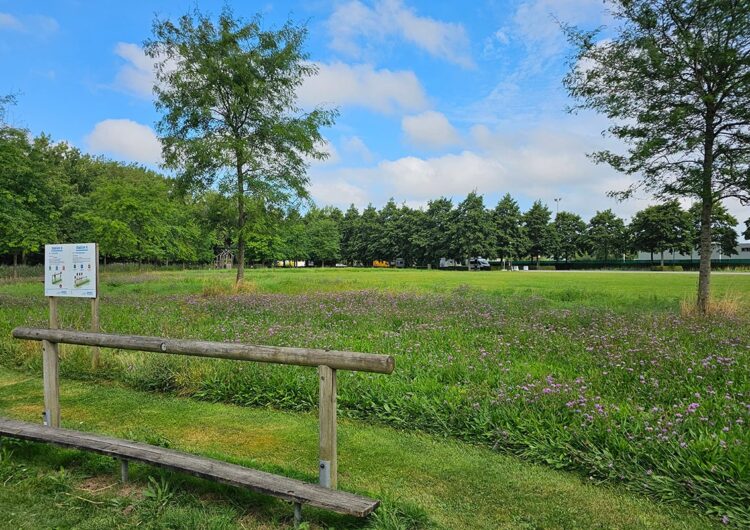 Van verzilt water tot gezonde velden 2