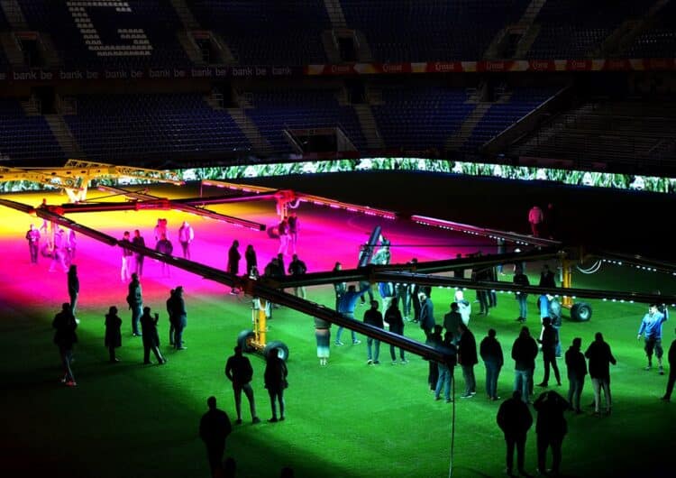 De geheimen van een perfect veld onthuld 2