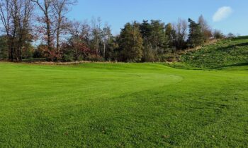 Semi-rough perfect getrimd met een robotmaaier 11