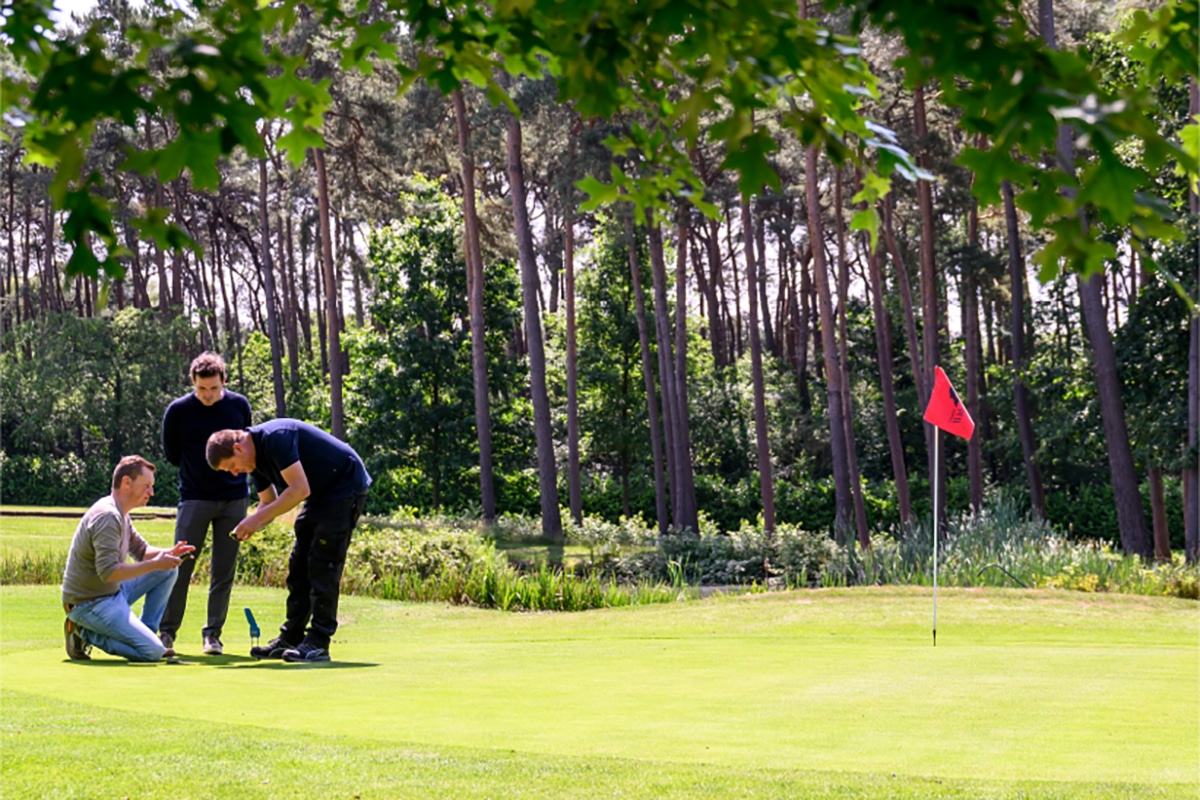 Grass, soil and management: essential tripartite for a sustainable golf course 1