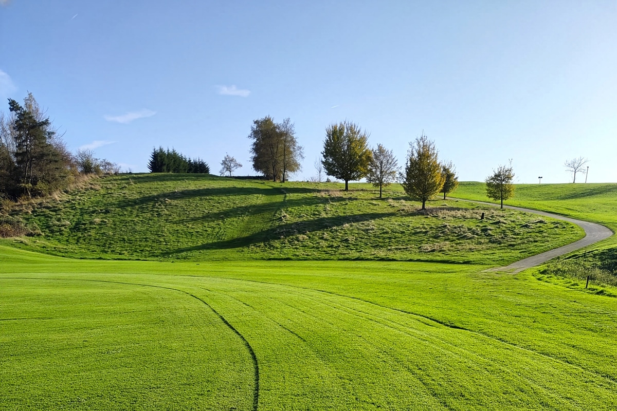 New standard in maintenance of large green spaces 31