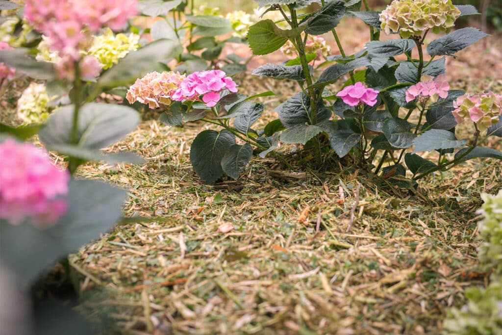 Versnipperaar voor vier seizoenen 2