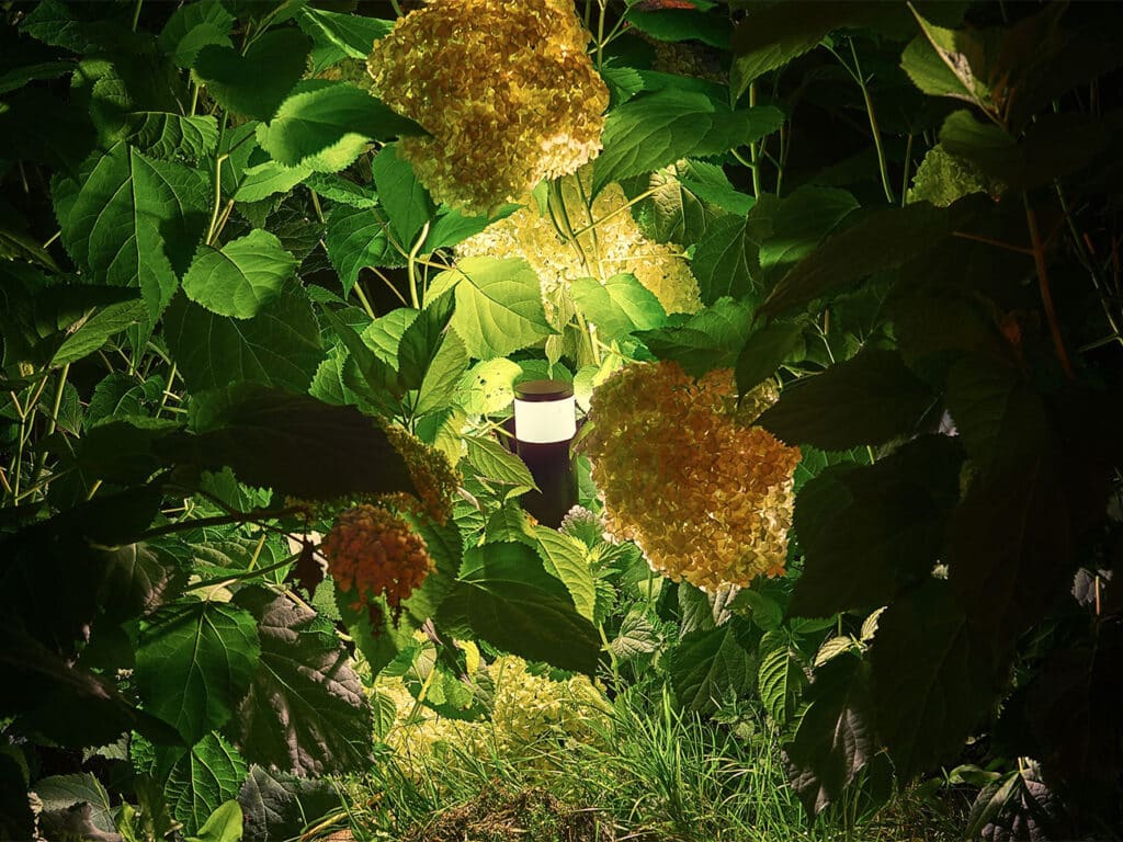 Duurzame tuinverlichting 2