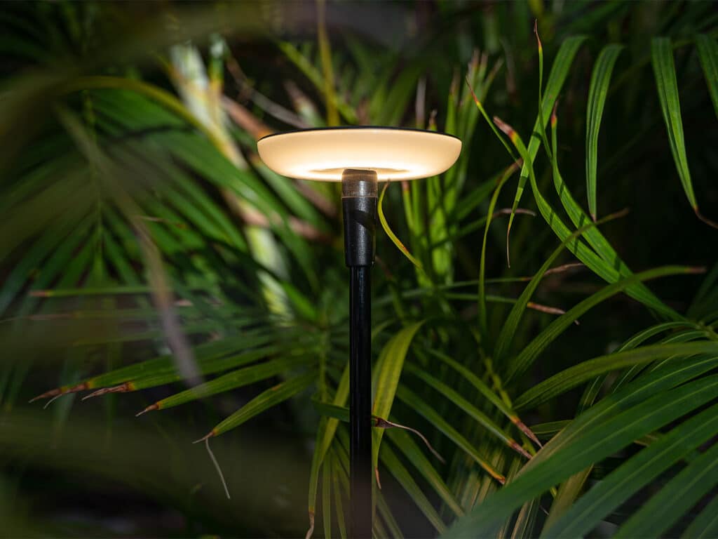 De meerwaarde van een dag- en nachttuin 3