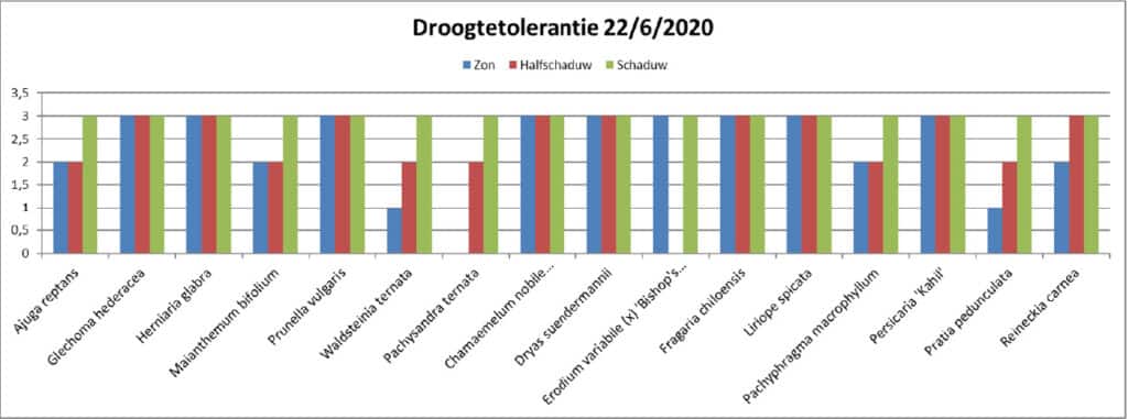 Eénjarige en meerjarige bodembedekkers als onderbegroeiing voor een natuurlijke beplanting 2