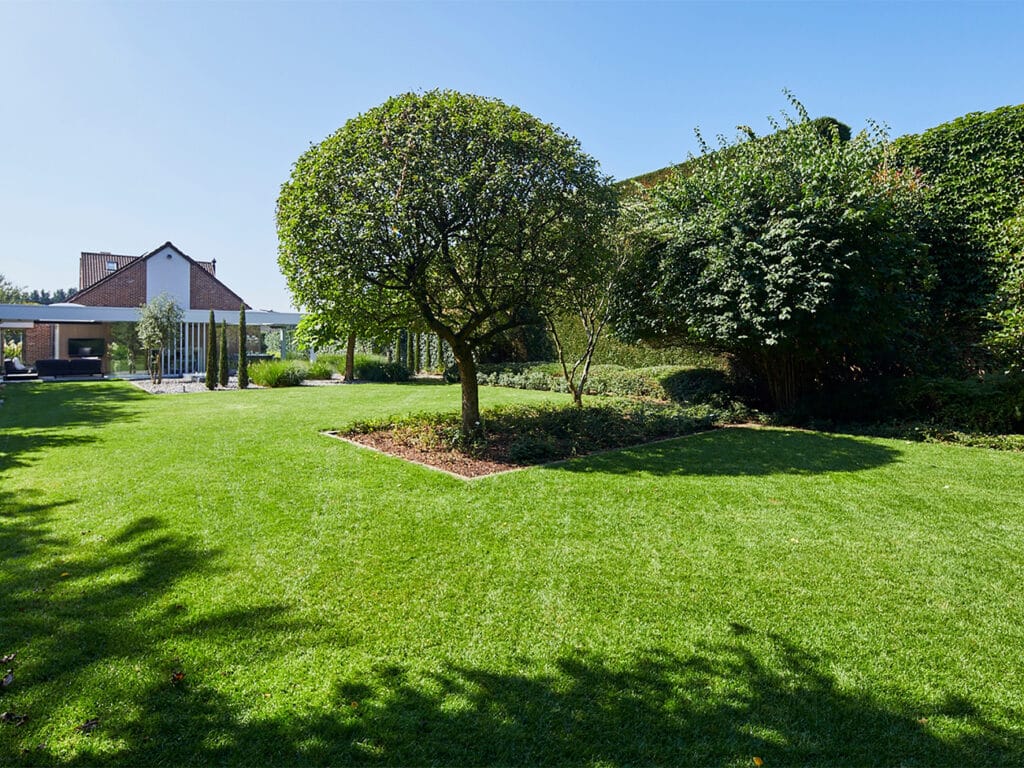Tuinkamer en technieken zetten achtertuin opnieuw in de kijker 2