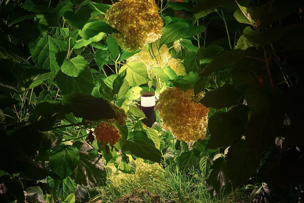 Verlichting hoeft geen last te zijn 3