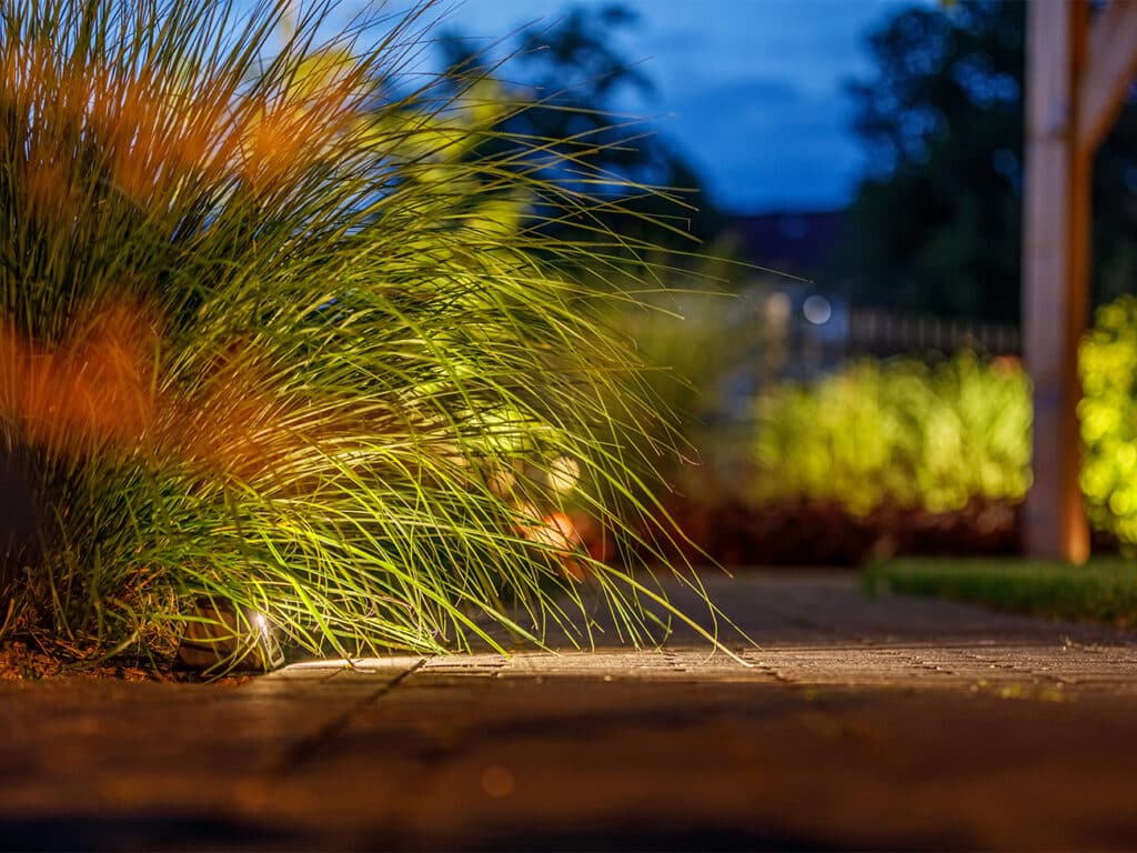 Verlichting die meegroeit met de boom 1