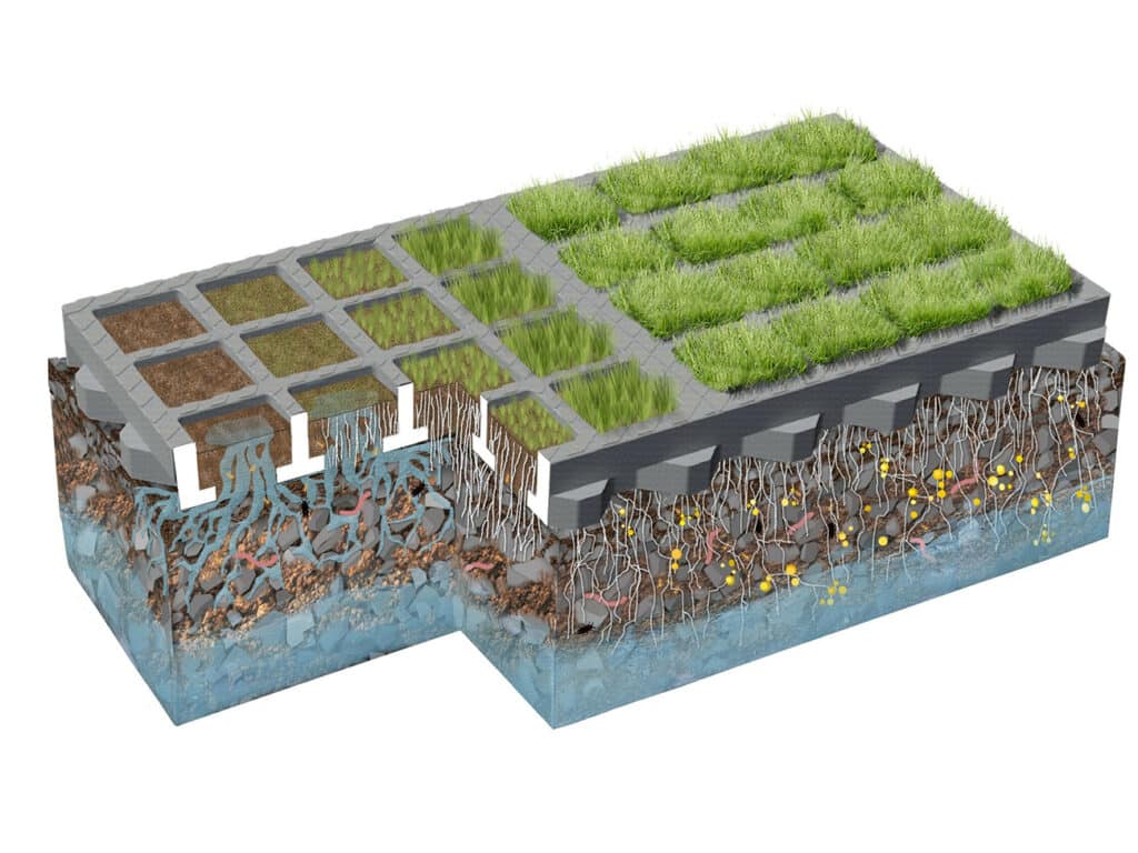 Een bodemsysteem voor meer natuur in de stad 1