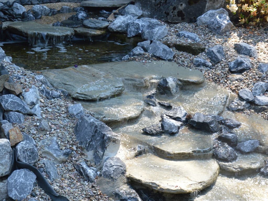 Honderdtal types grind om te voelen en te beleven 2