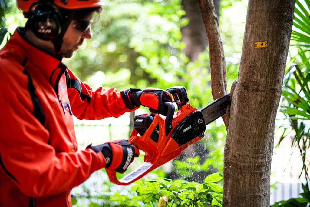 Lancering nieuwe echo-machines in 2023 1