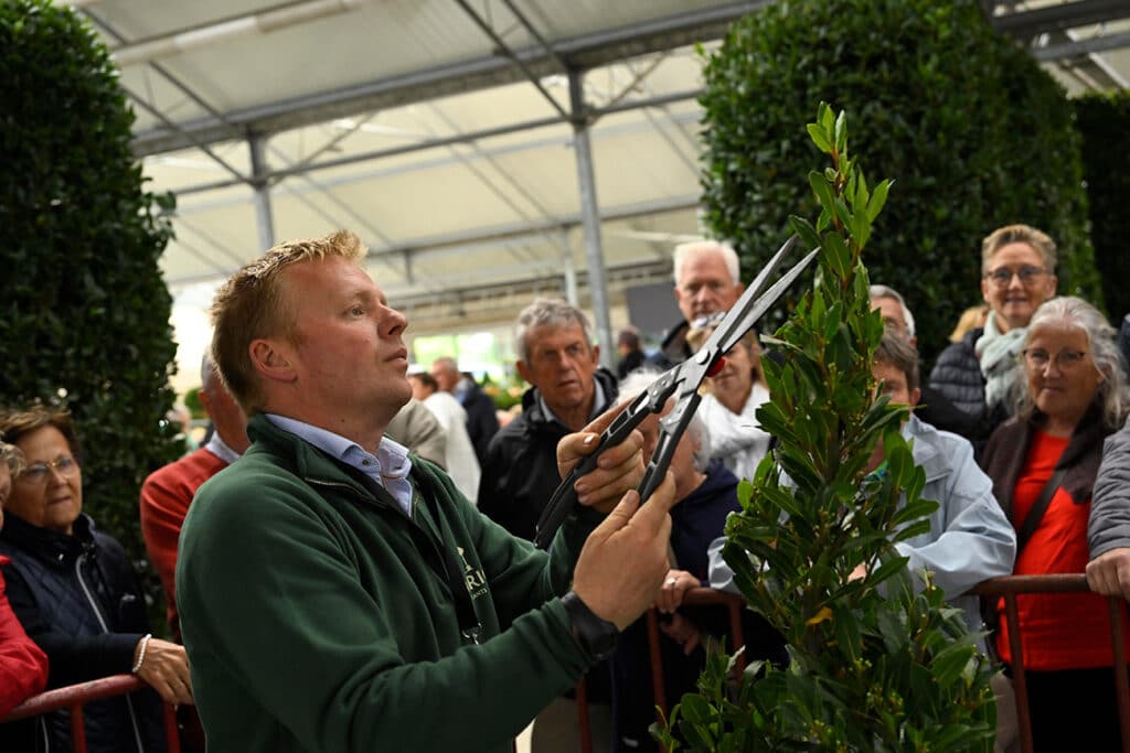 Laurier, anders bekeken 2