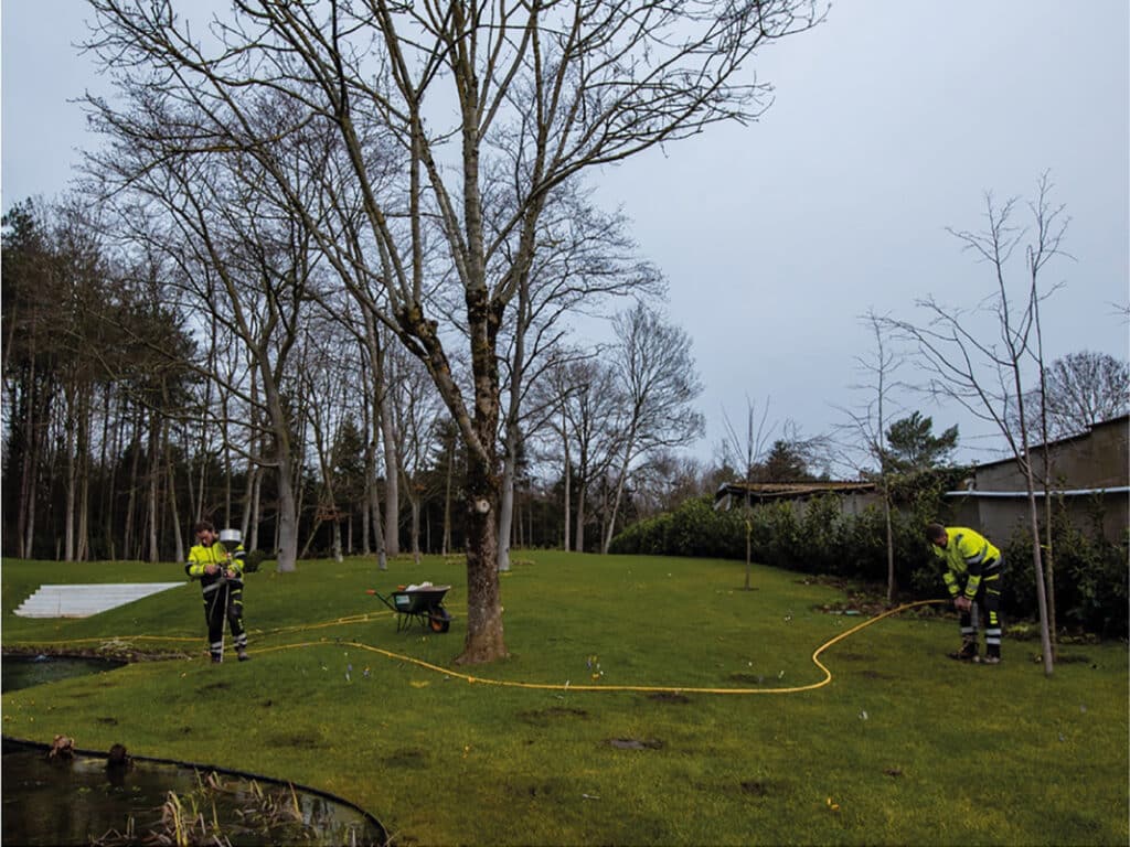 Blaas bomen onder stress nieuw leven in 3