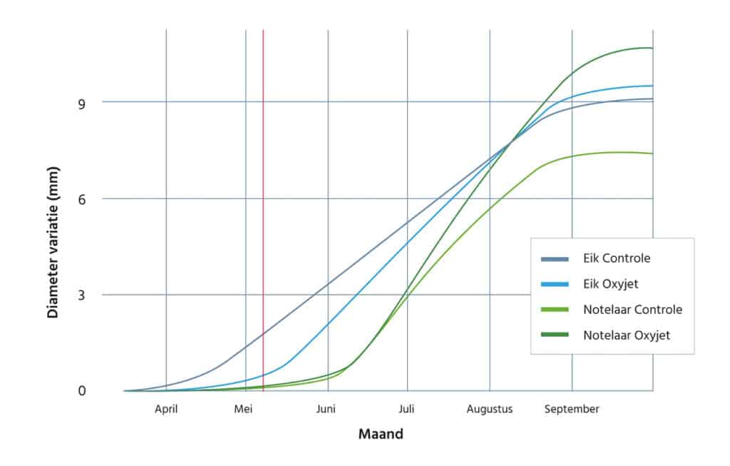 Blaas bomen onder stress nieuw leven in 2