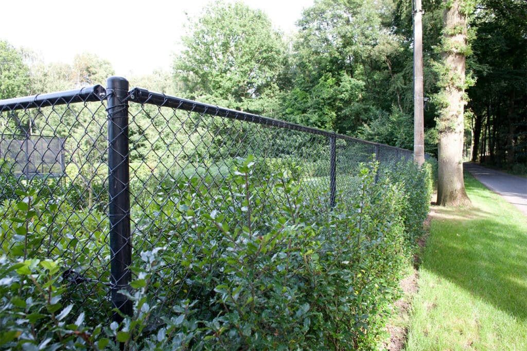 TOTAALAANBOD IN BUITENAANLEG VOOR DE PROFESSIONAL 1