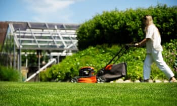 Tetraploïd Engels raaigras zorgt voor extra sterke zode 11