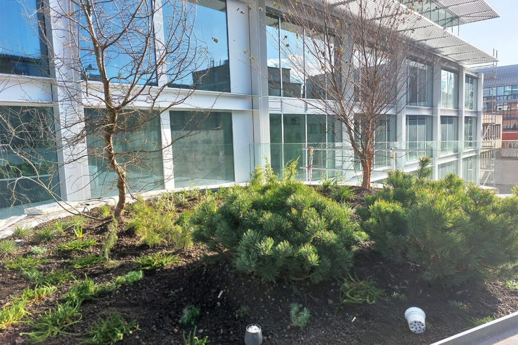 Groene oase in hartje Brussel 1