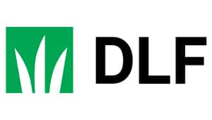DLF BV logo