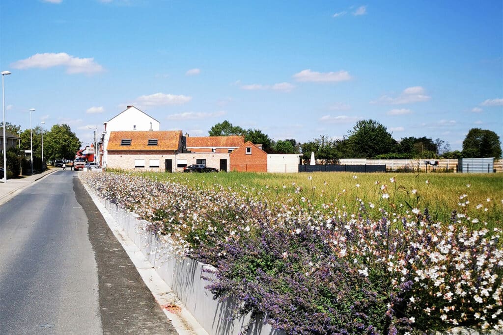 ‘Leaudegem’ is geen rocket science, maar puur natuur 4