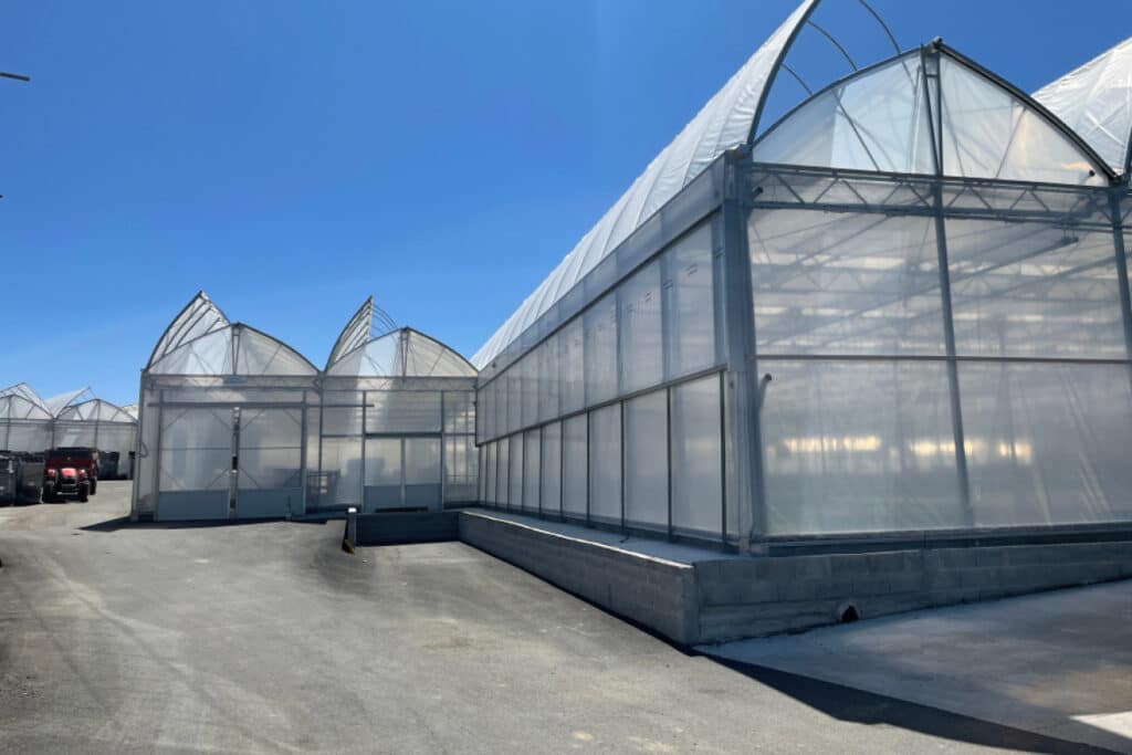 Breng het licht tot diep in de plant 3