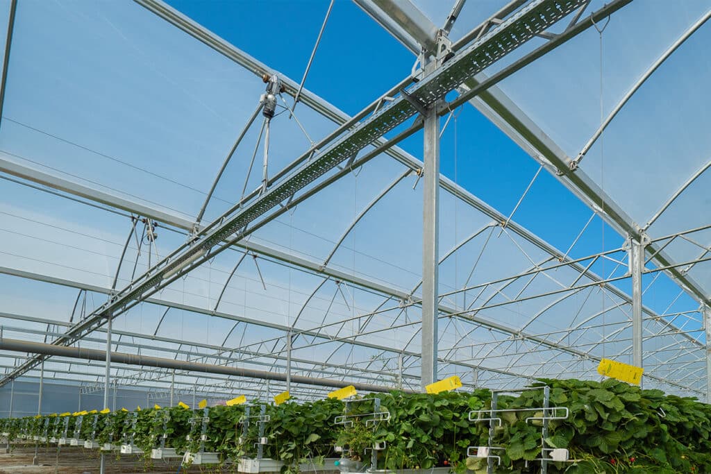 Breng het licht tot diep in de plant 1