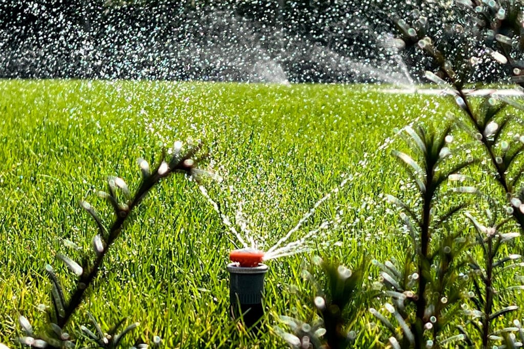 Zorgeloze beregening 2