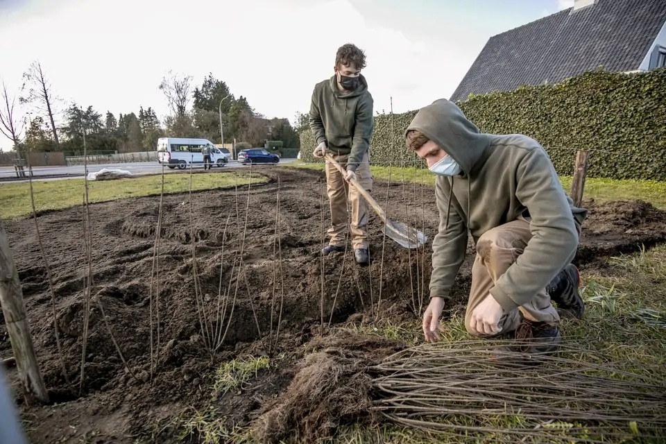 Grasmaaiers – trends en uitdagingen 1