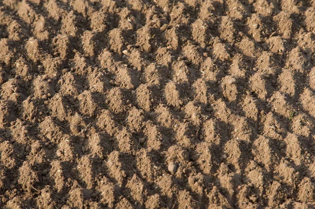 Alle bewerkingen voor gazonaanleg gecombineerd in één machine 1