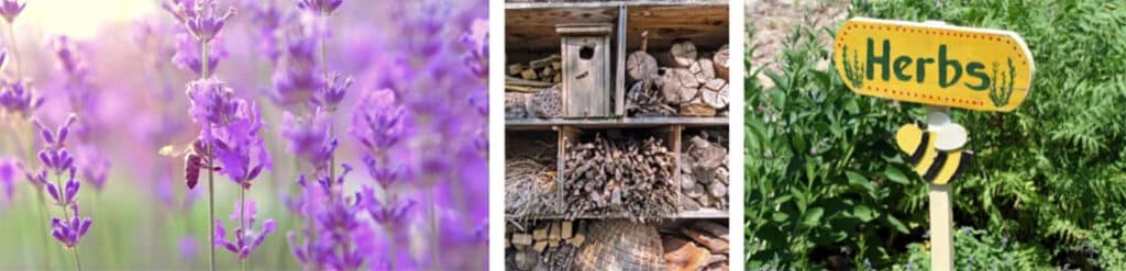 Tips & tricks voor een bij-vriendelijke tuin 2